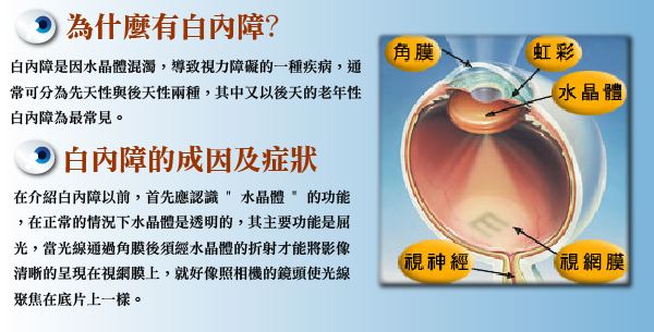 多方面認(rèn)識(shí)白內(nèi)障，莫讓致盲把心傷